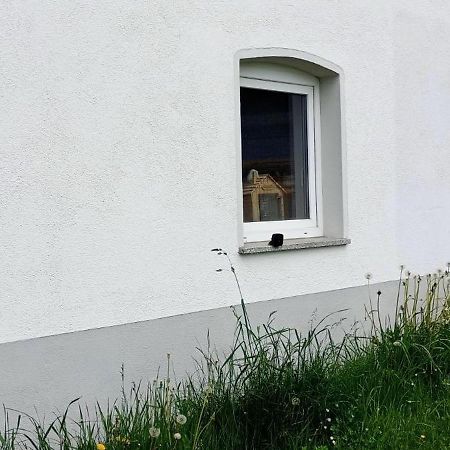 ヴァルトブルクUrlaub Auf Dem Hirschhof Stehleアパートメント エクステリア 写真
