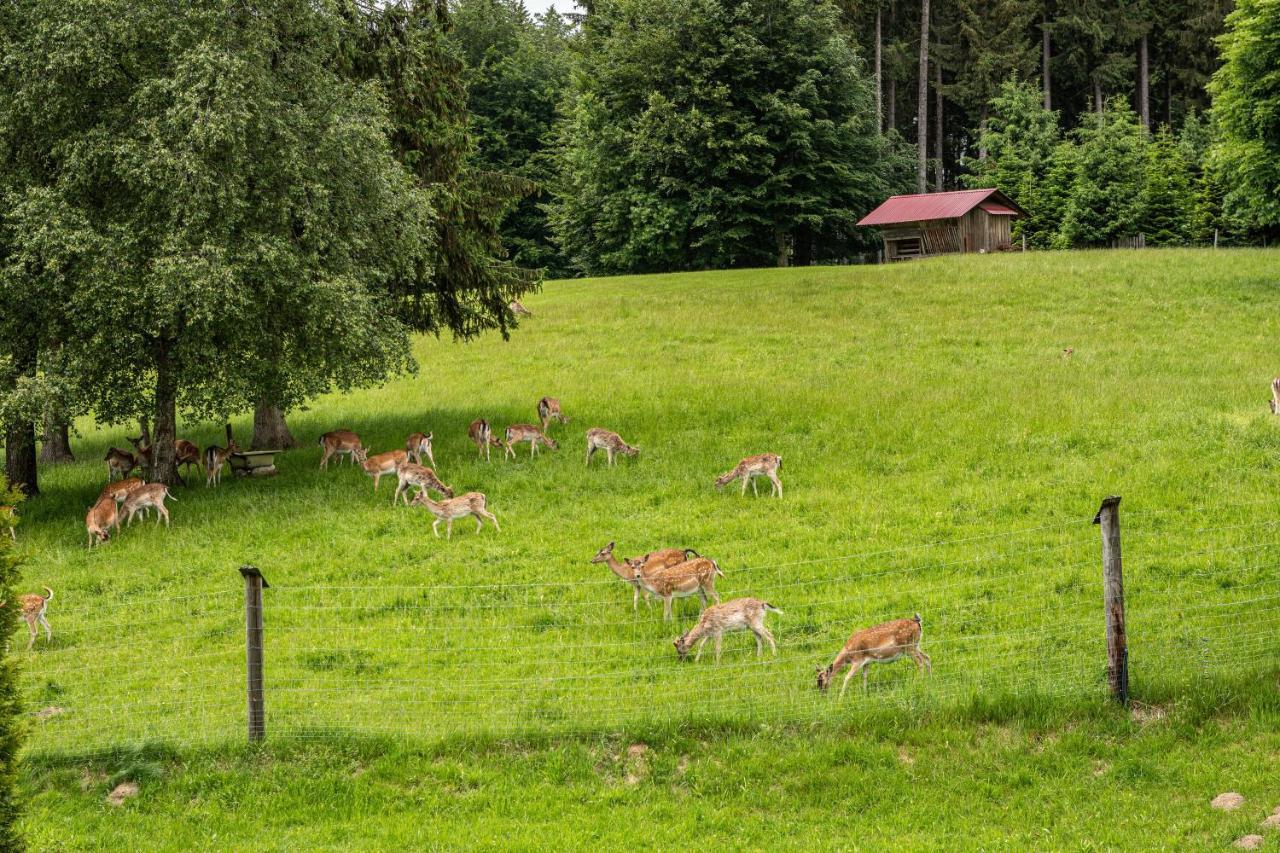 ヴァルトブルクUrlaub Auf Dem Hirschhof Stehleアパートメント エクステリア 写真